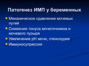 Инфекция мочевыводящих путей при беременности