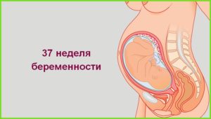 37 недель 5 дней беременности