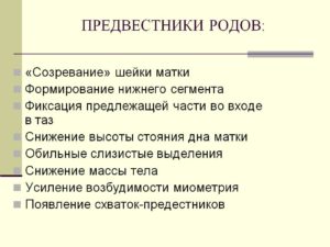 39 40 недель беременности предвестники родов у первородящих