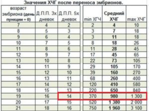 Хгч на 12 день после переноса эмбрионов пятидневок