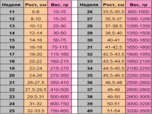 Вес ребенка в 20 недель беременности норма таблица