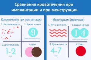 При имплантации эмбриона кровотечение