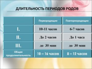 Сколько длится первый период родов у первородящих