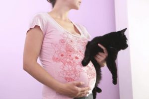 Почему нельзя во время беременности трогать кошек
