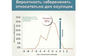 Какая вероятность забеременеть в овуляцию с первого раза