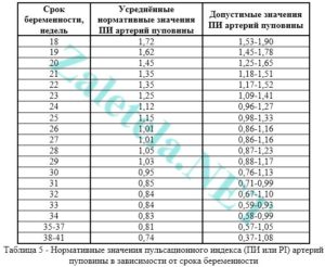 Артерия пуповины плода норма в 32 недели