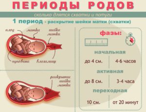 Схватки каждые 8 минут