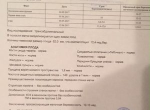 Венозный проток в 12 недель норма таблица