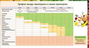 Первый прикорм воз таблица