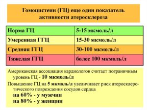 Норма гомоцистеин при планировании