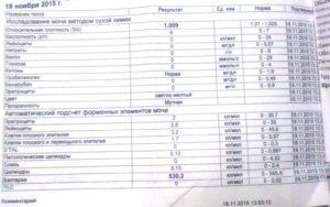 Умеренное количество бактерий в моче при беременности