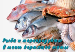 Кормящей маме можно морепродукты