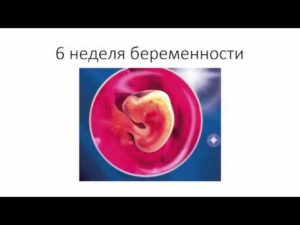 6 неделя беременности орви