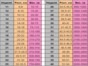 Вес плода на 34 неделе беременности норма таблица