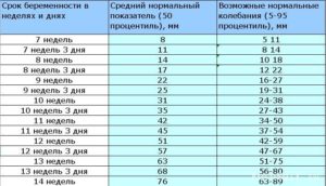 Копчико теменной размер плода в 12 недель норма