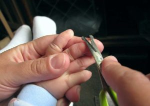 Как подстригать ногти ребенку правильно