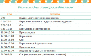 Режим дня месячного ребенка на грудном вскармливании