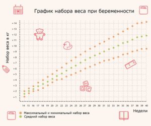 Сколько набирает плод в неделю после 30 недель