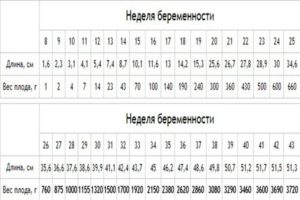 Вес плода на 34 неделе беременности норма таблица