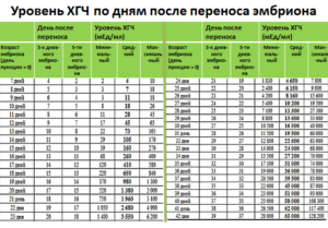 Хгч на 12 день после переноса эмбрионов пятидневок