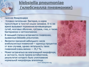 Клебсиелла пневмония в моче 10 в 3 степени