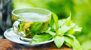 Чай с листьями смородины при беременности можно ли