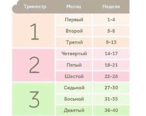 7 месяцев беременности это сколько в неделях беременности