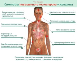 Повышенное содержание мужских гормонов у женщин симптомы