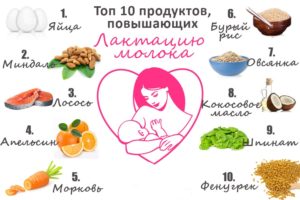 Какие продукты увеличивают лактацию и жирность грудного молока