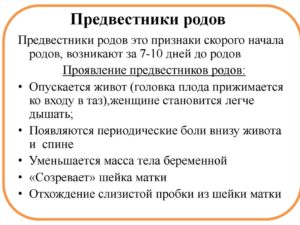 39 40 недель беременности предвестники родов у первородящих