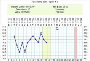 На какой день овуляция при цикле 31 день