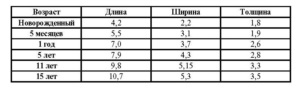 Норма размеров лоханки почек