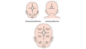На голове у новорожденного мягкое место