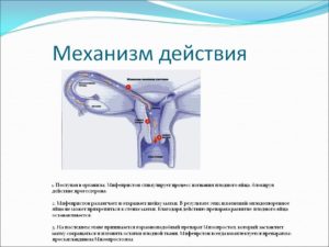 Мифепристон почему не действует