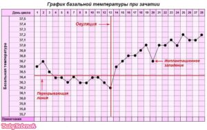 Не поднимается базальная температура