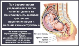 На 37 неделе беременности давление