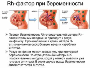 Густая кровь у беременной