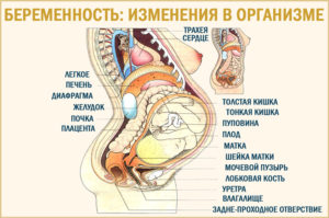 Болит низ живота при беременности на 38 неделе