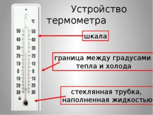 Как правильно термометр или градусник