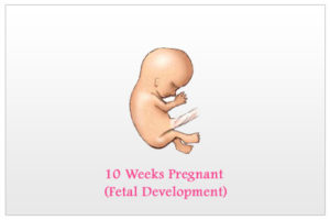 Тошнит на 10 неделе беременности