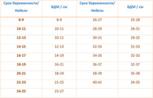 Высота дна матки по неделям при двойне