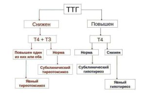 Как понизить ттг быстро