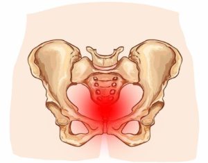 40 недель болит лобковая кость
