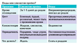 Если отошли воды сколько до родов времени