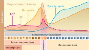 Беременность при повышенном фсг