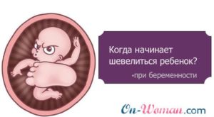 Сколько должен шевелиться ребенок на 25 неделе беременности