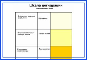 Моча сильно желтая у ребенка