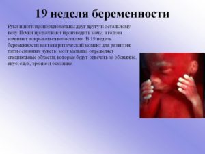 На 19 неделе не чувствую шевелений вторая беременность