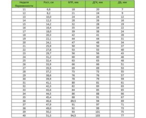 Окружность живота по неделям беременности норма у плода