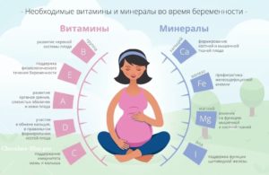 Сколько нужно пить воды беременным в первом триместре